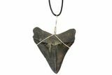 Fossil Megalodon Tooth Necklace #95230-1